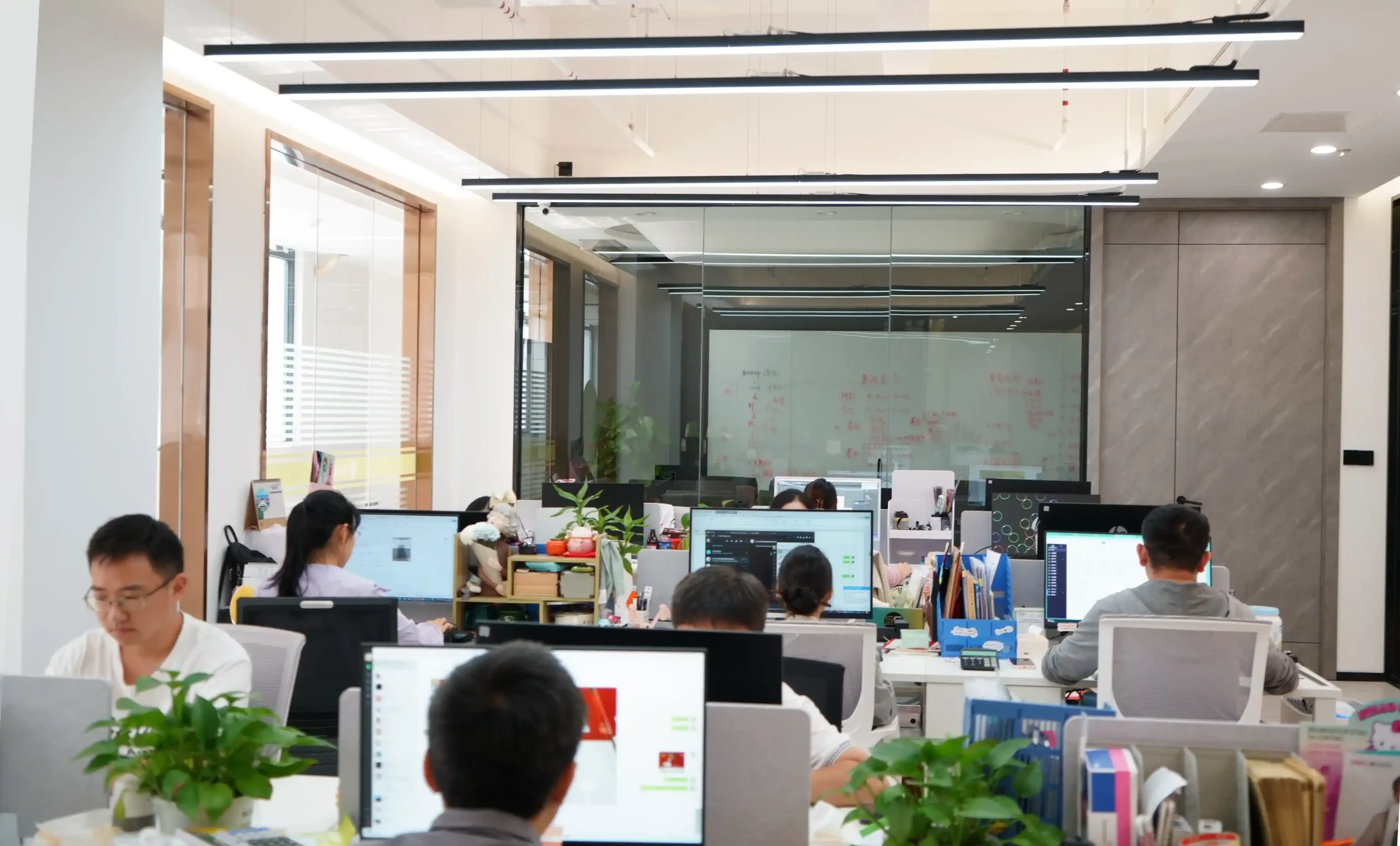 Paksen employees work at their computers in an open office, with a clean environment and green plants